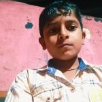 Boy dies, sister hospitalised after suspected snakebite in Sirsi