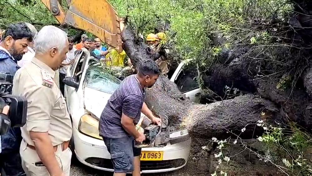 Karwar: Woman killed after tree falls on parked car amid heavy rain