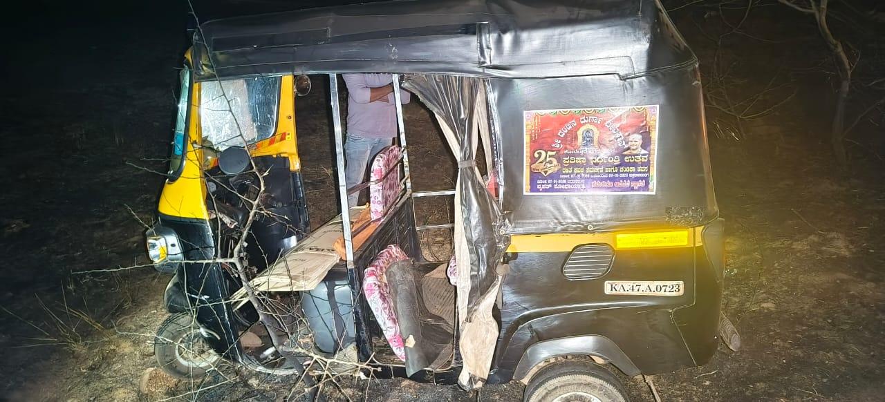 Auto overturns after wild boar strays onto Bhatkal–Sagar road; driver critically injured