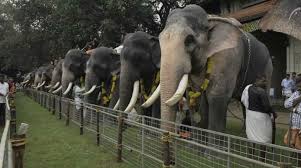 Human-animal conflict: Data shows decline in fatalities in Kerala