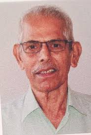Lok Sabha Polls 2024: Former Army Officer, 85, Dies After Casting Vote At Home In Mangaluru