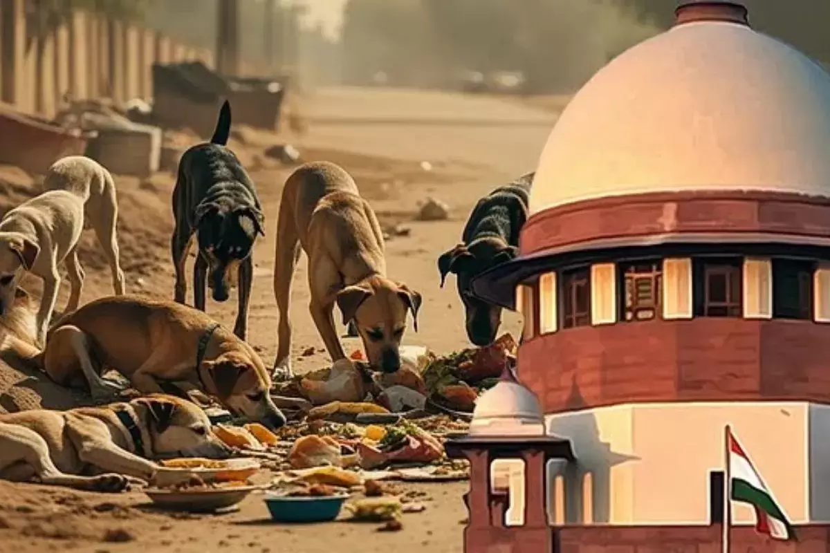 Supreme Court to deliver verdict on stray dog issue on November 7